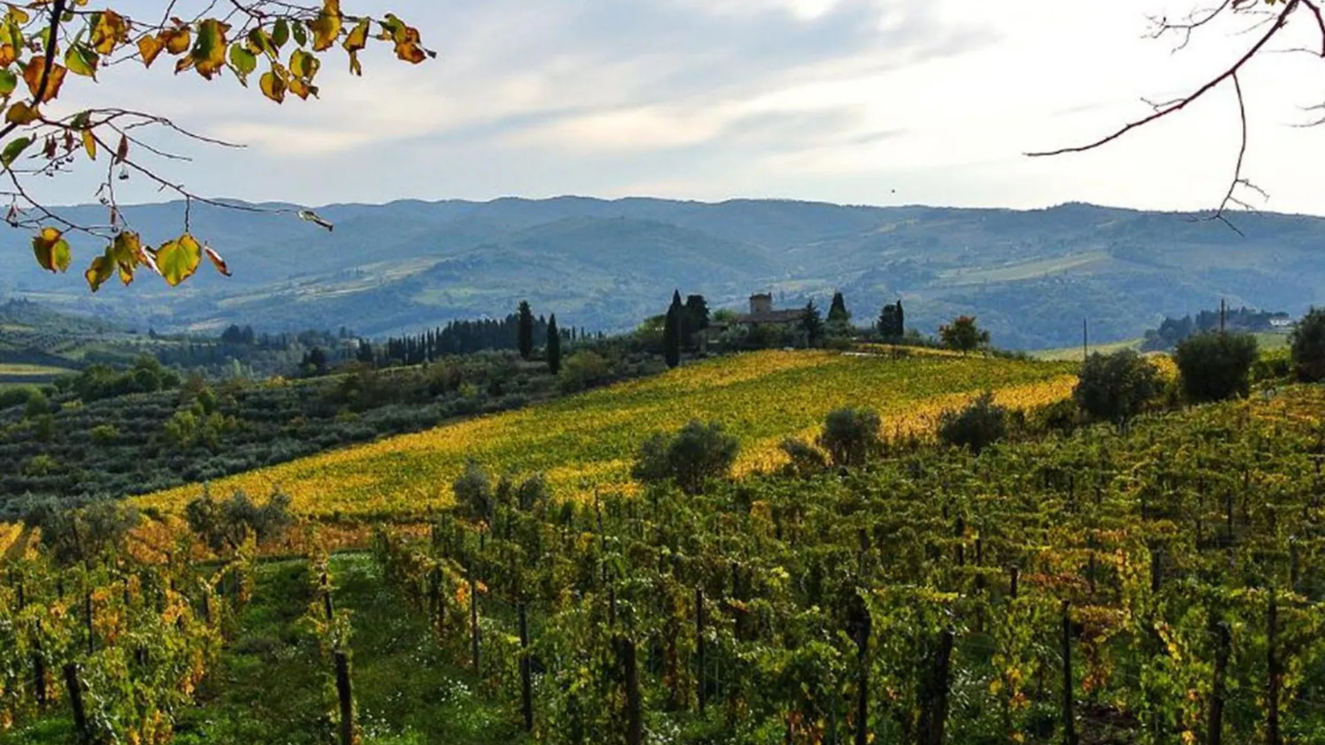 Apartment La Loggia By Interhome Lucolena in Chianti
