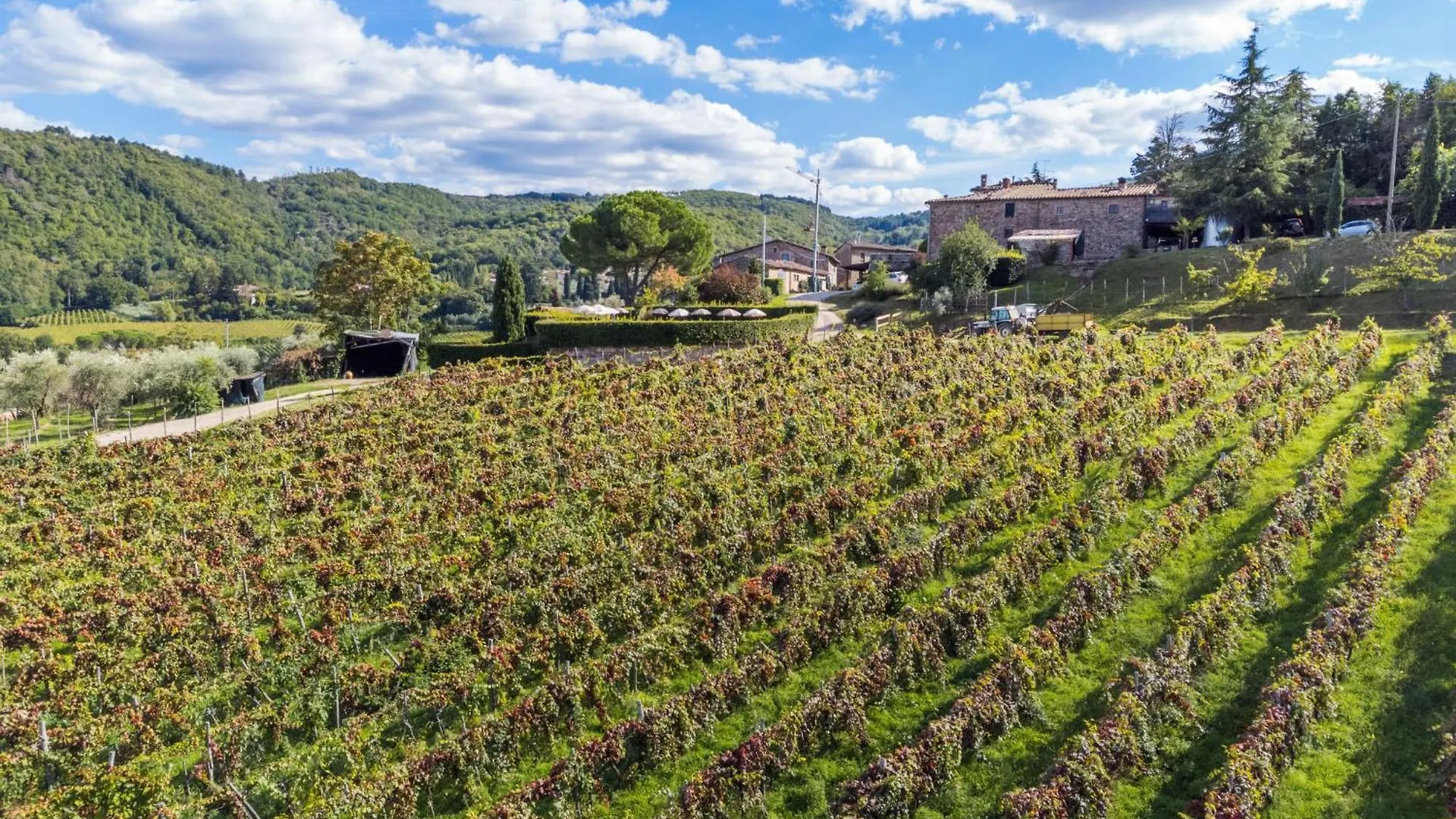Apartment La Loggia By Interhome Lucolena in Chianti Italy